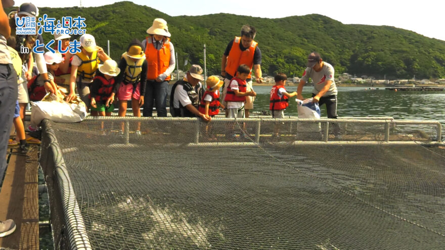 ＳＥＡＳＴＯＲＹ とくしま ＮＯ８「親子おさかな体験料理教室」