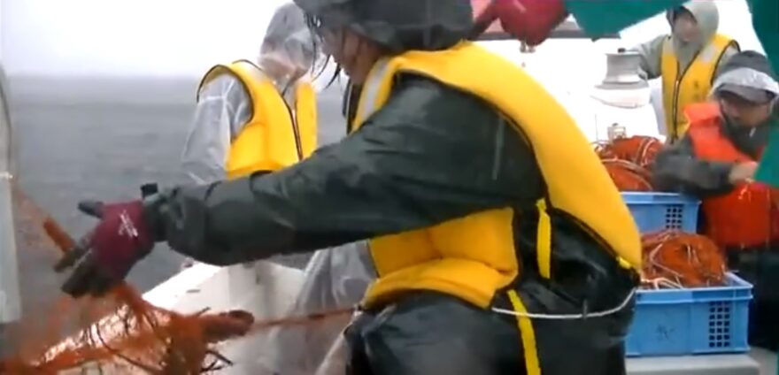 小中学生がイセエビ網漁に挑戦