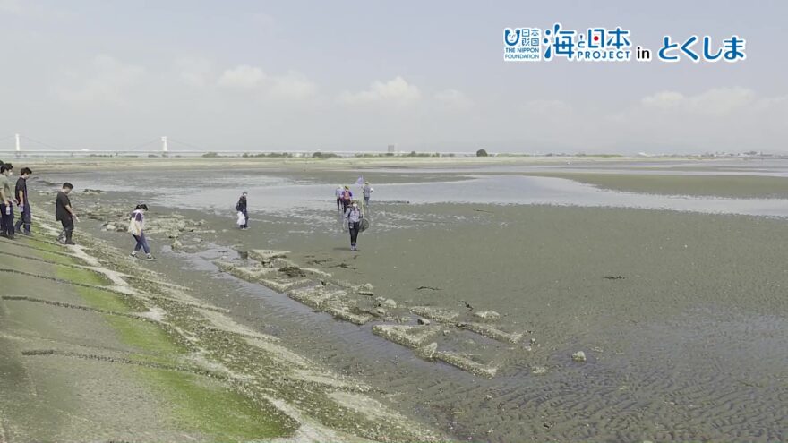 吉野川と海が出会う、河口干潟の生物調査OA